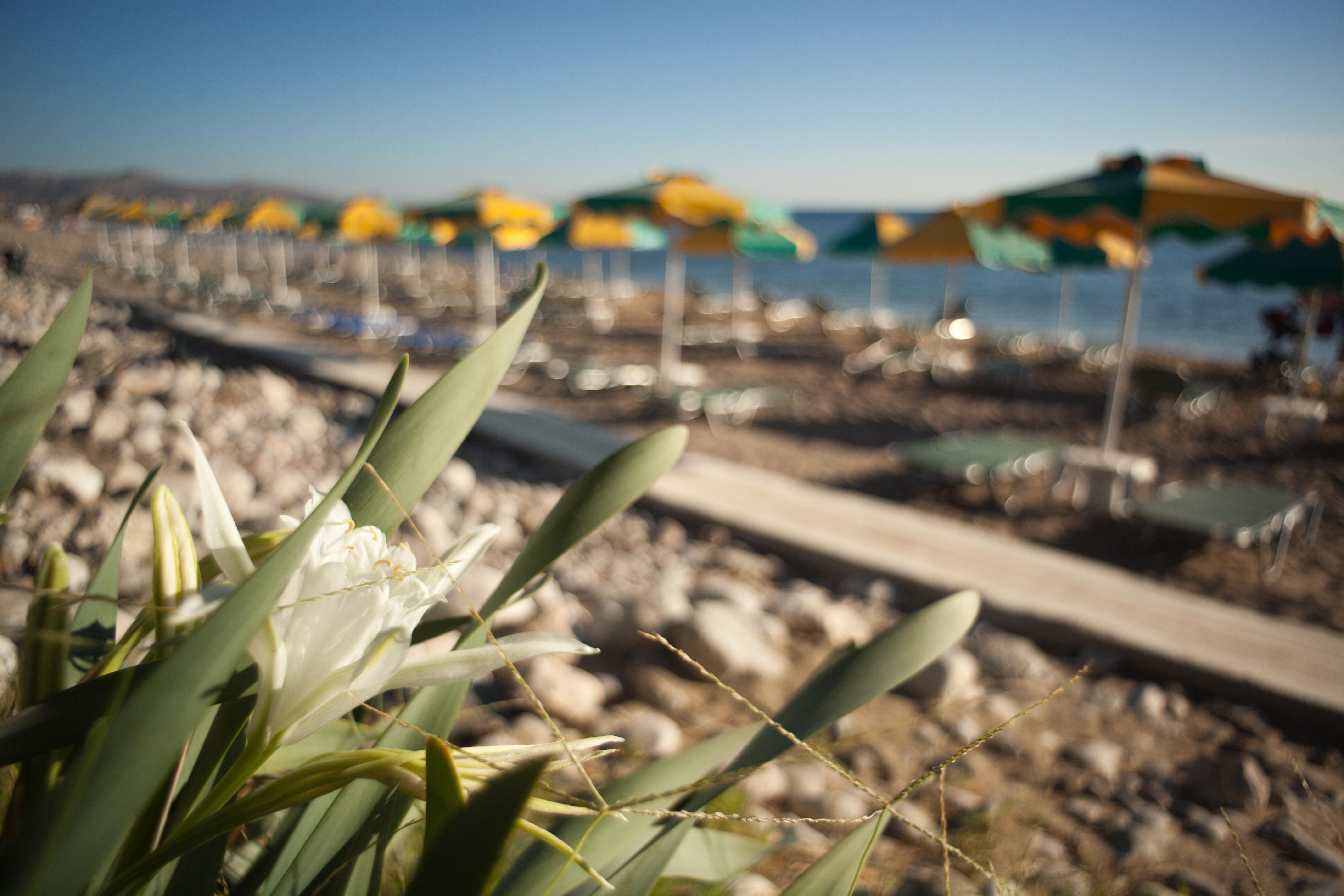 Irene Palace Beach Resort Kolymbia Zewnętrze zdjęcie